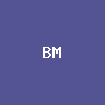 BitMine Immersion Technologies